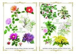 クリックで拡大します