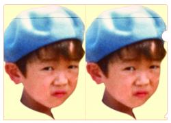 クリックで拡大します