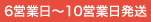 6～10営業日発送