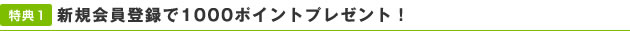 新規会員登録で1000ポイントプレゼント！